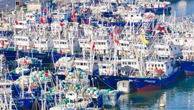 Cílem čínské reformy rybolovu je dosáhnout větší udržitelnosti